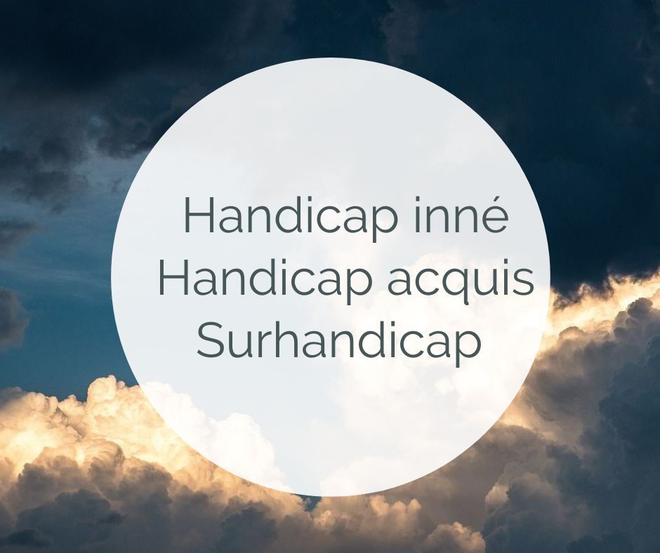 A la rencontre de la notion de handicap : Handicap inné, acquis et situation de surhandicap