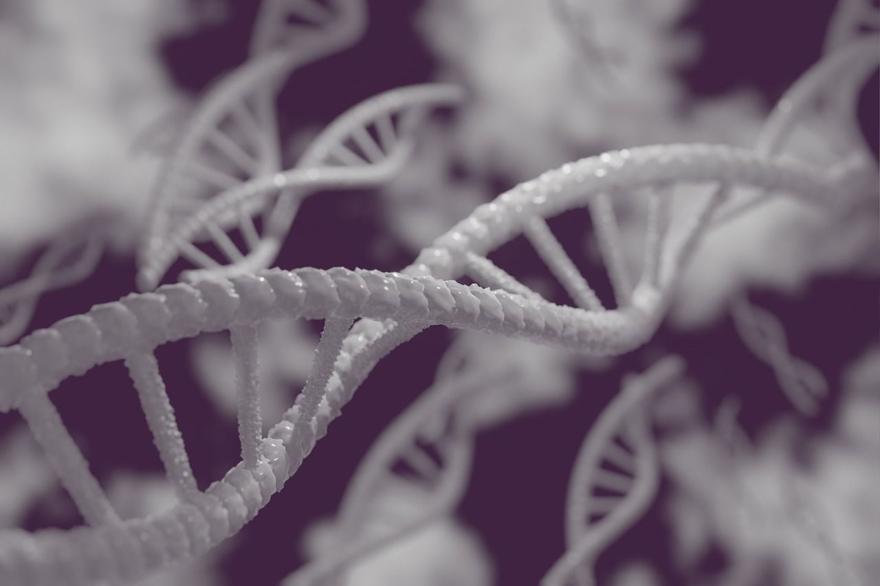 Le cancer, c'est quoi ? 