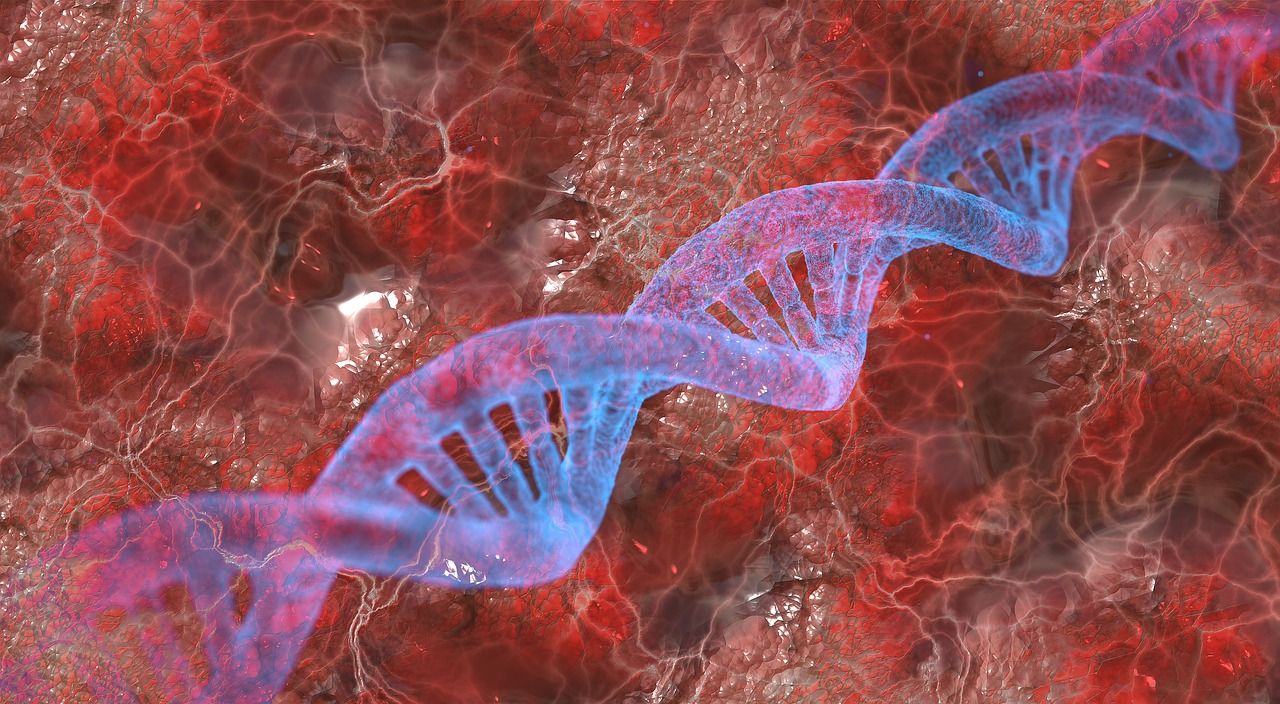 Le cancer : statistiques et causalités 