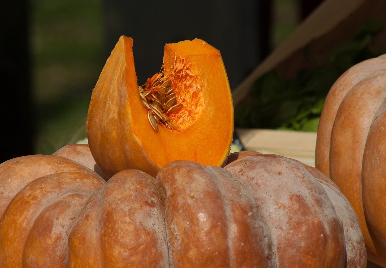 Le potiron : petite histoire d'une grande courge