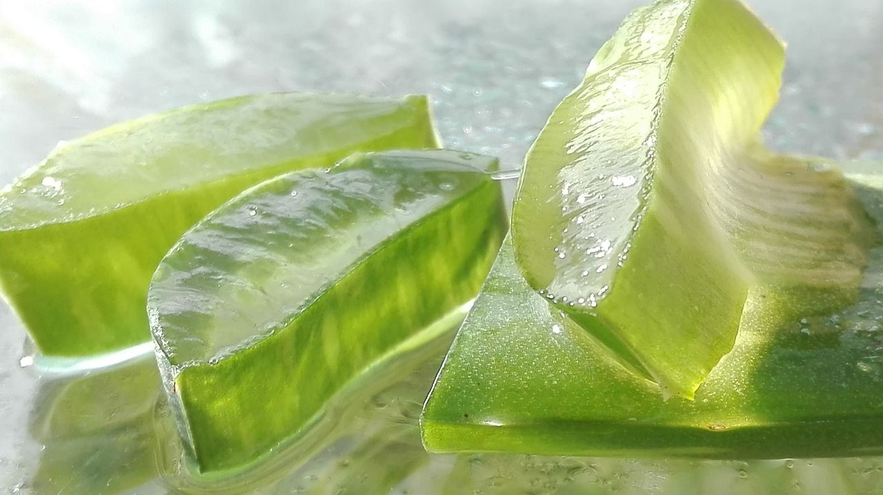MULTIPLES BIENFAITS DE L'ALOE VERA