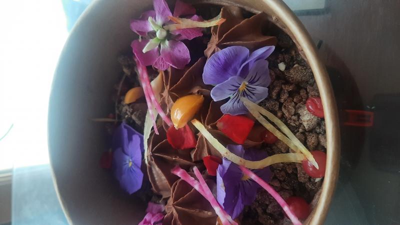 Recette : La betterave et le chocolat, comme un jardin