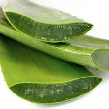 Recette : SAUCE VIERGE ALOE VERA ET AVOCAT